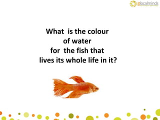 What  is the colour  of water  for  the fish that  lives its whole life in it? 