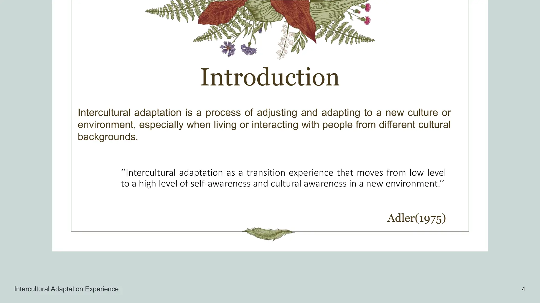 Intercultural Adaptation Experience.pptx