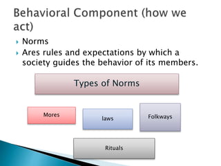  Norms 
 Ares rules and expectations by which a 
society guides the behavior of its members. 
Types of Norms 
Mores 
laws Folkways 
Rituals 
 