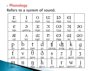  Phonology 
Refers to a system of sound. 
 