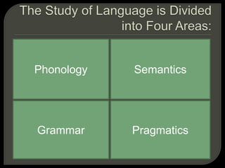 Phonology Semantics
Grammar Pragmatics
 