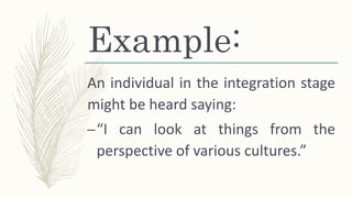Example:
An individual in the integration stage
might be heard saying:
–“I can look at things from the
perspective of various cultures.”
 