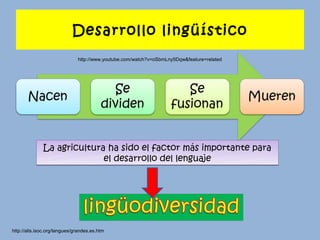 Desarrollo lingüístico
                              http://www.youtube.com/watch?v=oSbmLny5Dqw&feature=related




              La agricultura ha sido el factor más importante para
                            el desarrollo del lenguaje




http://alis.isoc.org/langues/grandes.es.htm
 