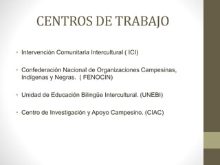 CENTROS DE TRABAJO
• Intervención Comunitaria Intercultural ( ICI)
• Confederación Nacional de Organizaciones Campesinas,
Indígenas y Negras. ( FENOCIN)
• Unidad de Educación Bilingüe Intercultural. (UNEBI)
• Centro de Investigación y Apoyo Campesino. (CIAC)
 