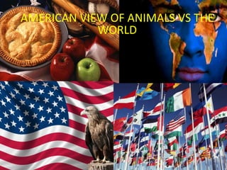 AMERICAN VIEW OF ANIMALS VS THE
WORLD
 