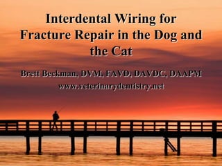 Interdental Wiring for Fracture Repair in the Dog and the Cat Brett Beckman, DVM, FAVD, DAVDC, DAAPM www.veterinarydentistry.net 
