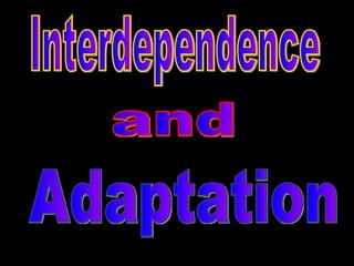 Interdependence and Adaptation 