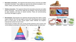 • Secondary consumers: The organisms that eat the primary consumers are called
secondary consumers. They usually eat meat and are termed as predators. Lion,
hawks, snakes, and wolves are a few secondary consumers.
• Tertiary consumers: The organisms that eat the secondary consumers are called
tertiary consumers. They are thus called the top predators. They are also termed
as apex predators and have no natural enemies. These are carnivore-eating
carnivores, like eagles or big fish.
• Decomposers: Decomposers are organisms that get energy from dead or waste
organic material. This is the last stage in a food chain. Decomposers are an integral
part of a food chain, as they convert organic waste materials into inorganic
materials like nutrient-rich soil or land.
Decomposers complete a life cycle, as they provide nutrients to soil or oceans, that
can be utilized by autotrophs or producers. Thus, starting a whole new food chain.
 