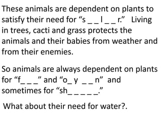 These animals are dependent on plants to
satisfy their need for “s _ _ l _ _ r.” Living
in trees, cacti and grass protects the
animals and their babies from weather and
from their enemies.
So animals are always dependent on plants
for “f_ _ _” and “o_ y _ _ n” and
sometimes for “sh_ _ _ _ _.”
What about their need for water?.
 