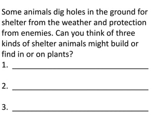 Some animals dig holes in the ground for
shelter from the weather and protection
from enemies. Can you think of three
kinds of shelter animals might build or
find in or on plants?
1. _______________________________

2. _______________________________

3. _______________________________
 