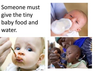 Someone must
give the tiny
baby food and
water.
 