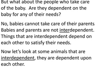 But what about the people who take care
of the baby? Are they dependent on the
baby for any of their needs?
No, babies cannot take care of their parents.
Babies and parents are not interdependent.
Things that are interdependent depend on
each other to satisfy their needs.
Now let’s look at some animals that are
interdependent, they are dependent upon
each other.
 