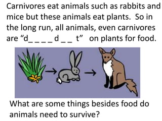Plants and animals depend on each other. (teach 2nd/3rd grade)