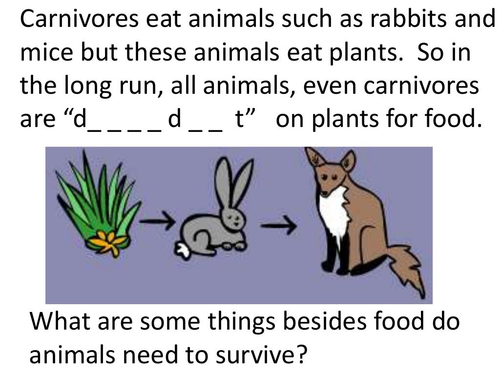 Plants and animals depend on each other. (teach 2nd/3rd grade)