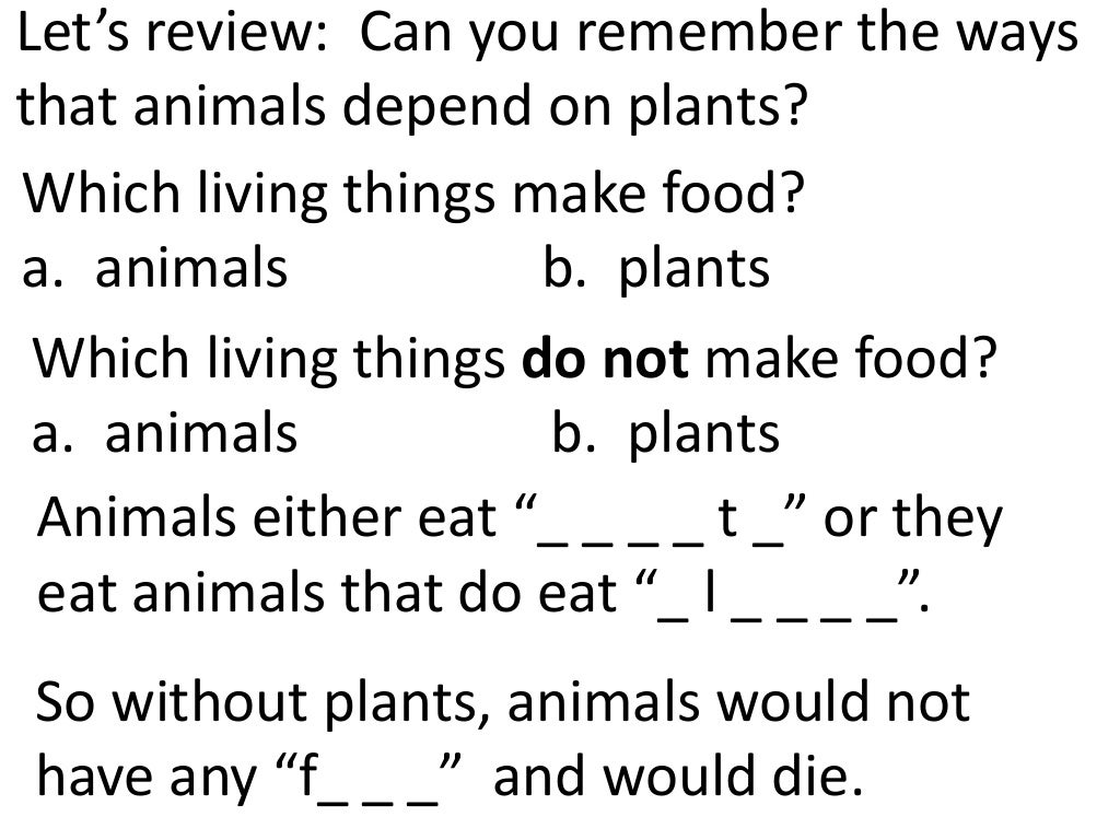 Plants and animals depend on each other. (teach 2nd/3rd grade)