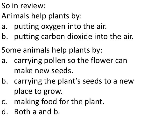 Plants and animals depend on each other. (teach 2nd/3rd grade)