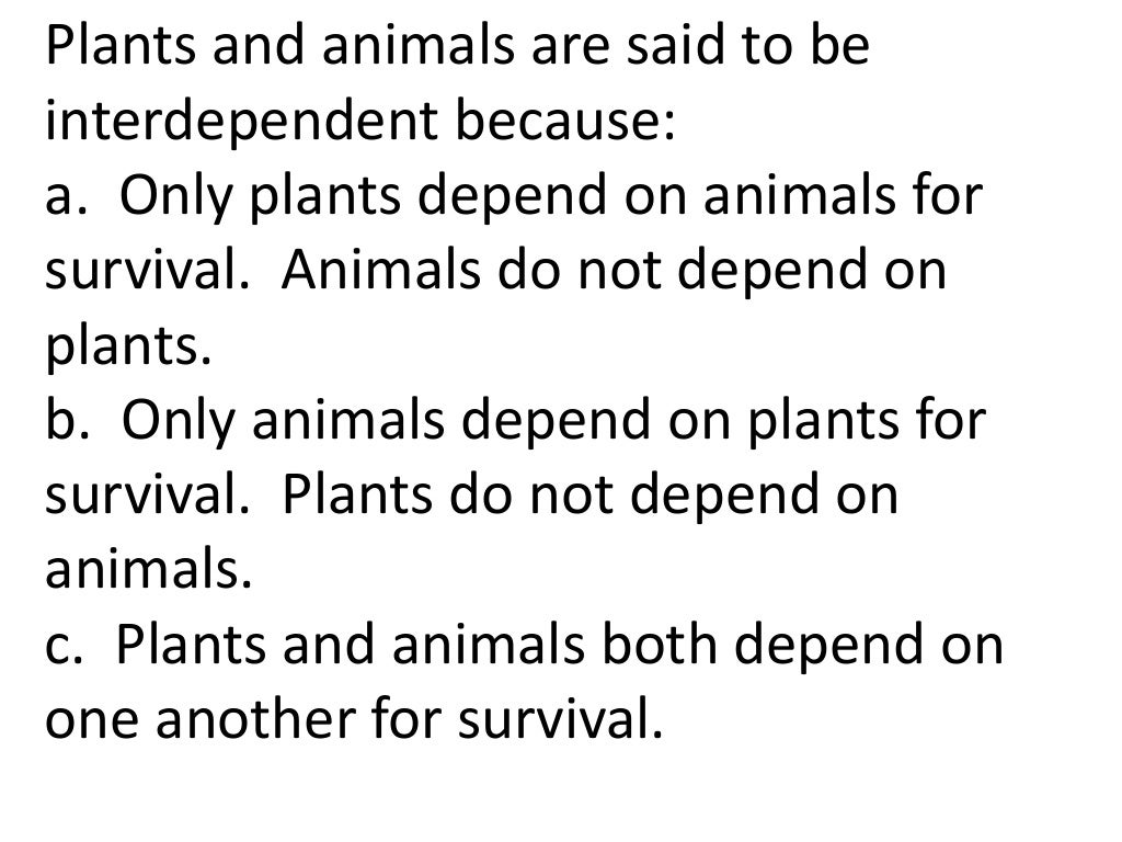 Plants and animals depend on each other. (teach 2nd/3rd grade)