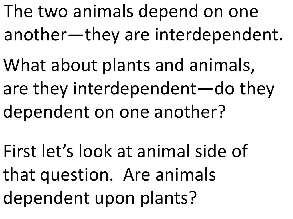 Plants and animals depend on each other. (teach 2nd/3rd grade)