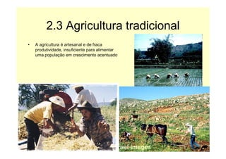 Interdependência / Contrastes de desenvolvimento (9ºano)