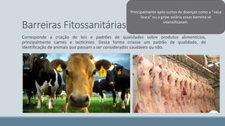 Principalmente após surtos de doenças como a “vaca 
louca” ou a gripe aviária essas barreira se 
Barreiras Fitossanitárias: 
intensificaram. 
Corresponde a criação de leis e padrões de qualidades sobre produtos alimentícios, 
principalmente carnes e lacticínios. Dessa forma criasse um padrão de qualidade, de 
identificação de animais que passam a ser considerados saudáveis ou não. 
