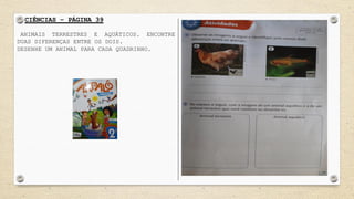 CIÊNCIAS – PÁGINA 39
ANIMAIS TERRESTRES E AQUÁTICOS. ENCONTRE
DUAS DIFERENÇAS ENTRE OS DOIS.
DESENHE UM ANIMAL PARA CADA QUADRINHO.
 