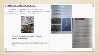 CIÊNCIAS – PÁGINA 37 e 38.
OBSERVE OS ANIMAIS NO SEU AMBIENTE.
LEIA OS 2 TEXTOS COM A CRIANÇA E AJUDE-A
A RESPONDER AS PERGUNTAS DA PAG.34
Conheça os habitat terrestres - Tipos de
habitat para crianças
https://www.youtube.com/watch?v=naL83_4J
7qE
 