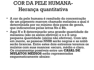 COR DA PELE HUMANA-
Herança quantitativa
• A cor da pele humana é resultado da concentração
de um pigmento marrom chamado melanina a qual é
determinada por no mínimo dois pares de genes,
que indicaremos pelas letras Nn e Bb.
• Aqui N e B determinarão uma grande quantidade de
melanina (são os alelos efetivos) e n e b uma
pequena quantidade (alelos não efetivos). Com isto
em mente, as pessoas NNBB serão negras e as nnbb
serão brancas. Entre estes dois extremos teremos os
mulatos com suas nuances: escuro, médio e claro.
Os cruzamentos possíveis entre um CASAL DE
MULATOS MÉDIOS estão representados
esquematicamente abaixo:
 