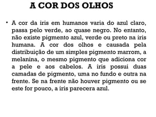 A COR DOS OLHOS
• A cor da iris em humanos varia do azul claro,
passa pelo verde, ao quase negro. No entanto,
não existe pigmento azul, verde ou preto na iris
humana. A cor dos olhos e causada pela
distribuição de um simples pigmento marrom, a
melanina, o mesmo pigmento que adiciona cor
a pele e aos cabelos. A iris possui duas
camadas de pigmento, uma no fundo e outra na
frente. Se na frente não houver pigmento ou se
este for pouco, a iris parecera azul.
 