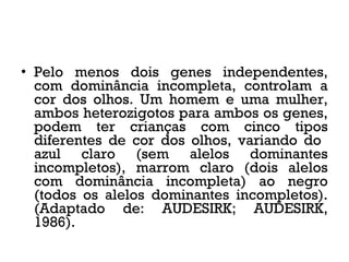 • Pelo menos dois genes independentes,
com dominância incompleta, controlam a
cor dos olhos. Um homem e uma mulher,
ambos heterozigotos para ambos os genes,
podem ter crianças com cinco tipos
diferentes de cor dos olhos, variando do
azul claro (sem alelos dominantes
incompletos), marrom claro (dois alelos
com dominância incompleta) ao negro
(todos os alelos dominantes incompletos).
(Adaptado de: AUDESIRK; AUDESIRK,
1986).
 