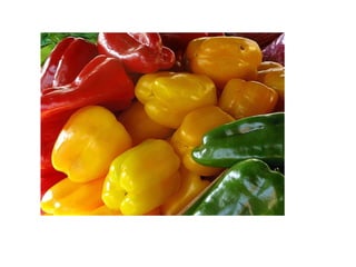 Interdisciplinaridade  biologia e matematica