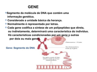GENE
Segmento da molécula de DNA que contém uma
informação genética.
 Considerado a unidade básica da herança.
 Normalmente é representado por letras.
 Cada gene codifica a síntese de um polipeptídeo que direta,
ou indiretamente, determinará uma característica do indivíduo.
Há características condicionadas por um gene e outras
por dois ou mais genes.
Gene: Segmento do DNA
 