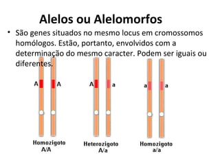 Alelos ou Alelomorfos
• São genes situados no mesmo locus em cromossomos
homólogos. Estão, portanto, envolvidos com a
determinação do mesmo caracter. Podem ser iguais ou
diferentes.
 