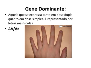 Gene Dominante:
• Aquele que se expressa tanto em dose dupla
quanto em dose simples. É representado por
letras maiúsculas.
• AA/Aa
 