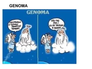 GENOMA
 