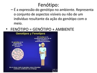 Fenótipo:
– É a expressão do genótipo no ambiente. Representa
o conjunto de aspectos visíveis ou não de um
indivíduo resultante da ação do genótipo com o
meio.
• FENÓTIPO = GENÓTIPO + AMBIENTE
 
