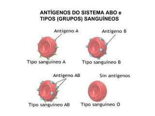 ANTÍGENOS DO SISTEMA ABO e
TIPOS (GRUPOS) SANGUÍNEOS
 