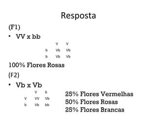 Resposta
(F1)
• VV x bb
100% Flores Rosas
(F2)
• Vb x Vb
V V
b Vb Vb
b Vb Vb
V b
V VV Vb
b Vb bb
25% Flores Vermelhas
50% Flores Rosas
25% Flores Brancas
 