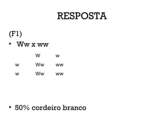 RESPOSTA
(F1)
• Ww x ww
• 50% cordeiro branco
W w
w Ww ww
w Ww ww
 