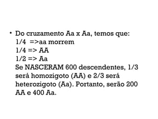 • Do cruzamento Aa x Aa, temos que:
1/4  =>aa morrem
1/4 => AA
1/2 => Aa
Se NASCERAM 600 descendentes, 1/3
será homozigoto (AA) e 2/3 será
heterozigoto (Aa). Portanto, serão 200
AA e 400 Aa.
 