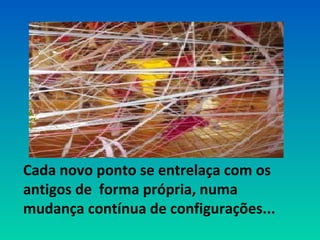 Cada novo ponto entrelaça-se com os 
antigos de forma própria, numa 
mudança contínua de configurações... 
 