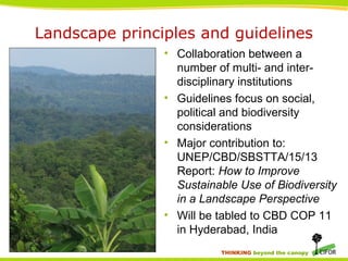 THINKING beyond the canopy
Landscape principles and guidelines
• Collaboration between a
number of multi- and inter-
disciplinary institutions
• Guidelines focus on social,
political and biodiversity
considerations
• Major contribution to:
UNEP/CBD/SBSTTA/15/13
Report: How to Improve
Sustainable Use of Biodiversity
in a Landscape Perspective
• Will be tabled to CBD COP 11
in Hyderabad, India
 