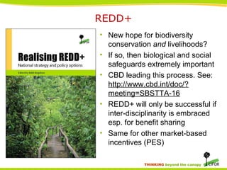 THINKING beyond the canopy
REDD+
• New hope for biodiversity
conservation and livelihoods?
• If so, then biological and social
safeguards extremely important
• CBD leading this process. See:
http://www.cbd.int/doc/?
meeting=SBSTTA-16
• REDD+ will only be successful if
inter-disciplinarity is embraced
esp. for benefit sharing
• Same for other market-based
incentives (PES)
 