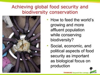 THINKING beyond the canopy
Achieving global food security and
biodiversity conservation
• How to feed the world’s
growing and more
affluent population
while conserving
biodiversity?
• Social, economic, and
political aspects of food
security as important
as biological focus on
production
 