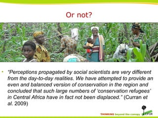 THINKING beyond the canopy
Or not?
• “Perceptions propagated by social scientists are very different
from the day-to-day realities. We have attempted to provide an
even and balanced version of conservation in the region and
concluded that such large numbers of ‘conservation refugees’
in Central Africa have in fact not been displaced.” (Curran et
al. 2009)
 