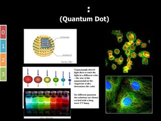 Ȩโน๶ทคโนโลยีชวภาพ : หมุดควอนตัม
              ี
           หมุดควอนตัม (Quantum Dot) สําหรับยอมสีเซลลสงมีชวิต
                                                        ิ่ ี
0

1

2

3
 