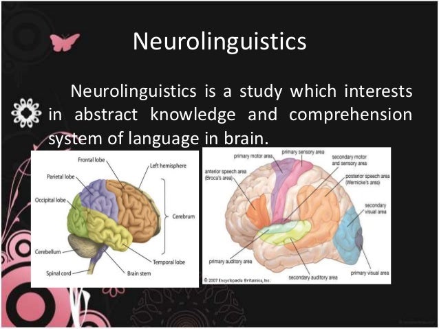 interdisciplinary nature of neurolinguistics and prospect of neurolinguistics