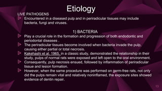 Etiology
LIVE PATHOGENS
⩥ Encountered in a diseased pulp and in periradicular tissues may include
bacteria, fungi and viruses.
1) BACTERIA
⩥ Play a crucial role in the formation and progression of both endodontic and
periodontal diseases .
⩥ The periradicular tissues become involved when bacteria invade the pulp,
causing either partial or total necrosis.
⩥ Kakehashi et al. 1965, in a classic study, demonstrated the relationship in their
study, pulps of normal rats were exposed and left open to the oral environment.
⩥ Consequently, pulp necrosis ensued, followed by inflammation of periradicular
tissue and lesion formation.
⩥ However, when the same procedure was performed on germ-free rats, not only
did the pulps remain vital and relatively noninflamed, the exposure sites showed
evidence of dentin repair.
13
 