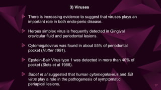 3) Viruses
⩥ There is increasing evidence to suggest that viruses plays an
important role in both endo-perio disease.
⩥ Herpes simplex virus is frequently detected in Gingival
crevicular fluid and periodontal lesions.
⩥ Cytomegalovirus was found in about 55% of periodontal
pocket (Hutter 1991).
⩥ Epstein-Bair Virus type 1 was detected in more than 40% of
pocket (Slots et al 1988).
⩥ Sabet et al suggested that human cytomegalovirus and EB
virus play a role in the pathogenesis of symptomatic
periapical lesions. 17
 