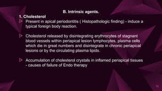 B. Intrinsic agents.
1. Cholesterol
⩥ Present in apical periodontitis ( Histopathologic finding) - induce a
typical foreign body reaction.
⩥ Cholesterol released by disintegrating erythrocytes of stagnant
blood vessels within periapical lesion lymphocytes, plasma cells
which die in great numbers and disintegrate in chronic periapical
lesions or by the circulating plasma lipids.
⩥ Accumulation of cholesterol crystals in inflamed periapical tissues
- causes of failure of Endo therapy
19
 
