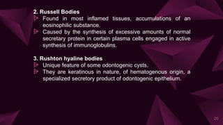 2. Russell Bodies
⩥ Found in most inflamed tissues, accumulations of an
eosinophilic substance.
⩥ Caused by the synthesis of excessive amounts of normal
secretary protein in certain plasma cells engaged in active
synthesis of immunoglobulins.
3. Rushton hyaline bodies
⩥ Unique feature of some odontogenic cysts.
⩥ They are keratinous in nature, of hematogenous origin, a
specialized secretory product of odontogenic epithelium.
20
 